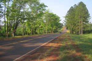 Undivided_road_with_5m_clearzones